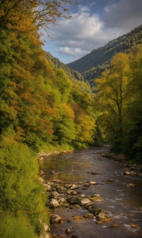 Love Background Video Effects Download, Cloud, Water, Sky, Plant, Mountain