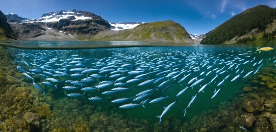 M Letter Images Hd, Water, Sky, Mountain, Water Resources, Nature