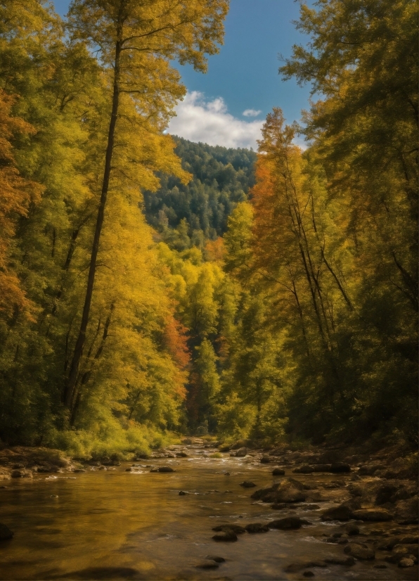 Moving Clouds Video Free Download, Water, Cloud, Sky, Ecoregion, Natural Landscape