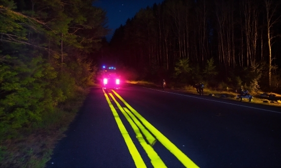 Open Doodles Illustration, Plant, Automotive Lighting, Road Surface, Asphalt, Tree