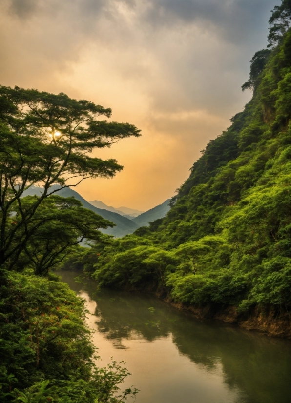 Pexels Free Stock, Cloud, Water, Sky, Plant, Mountain