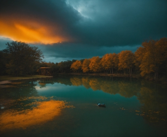 Photo Enlarger Ai, Cloud, Water, Sky, Atmosphere, Plant