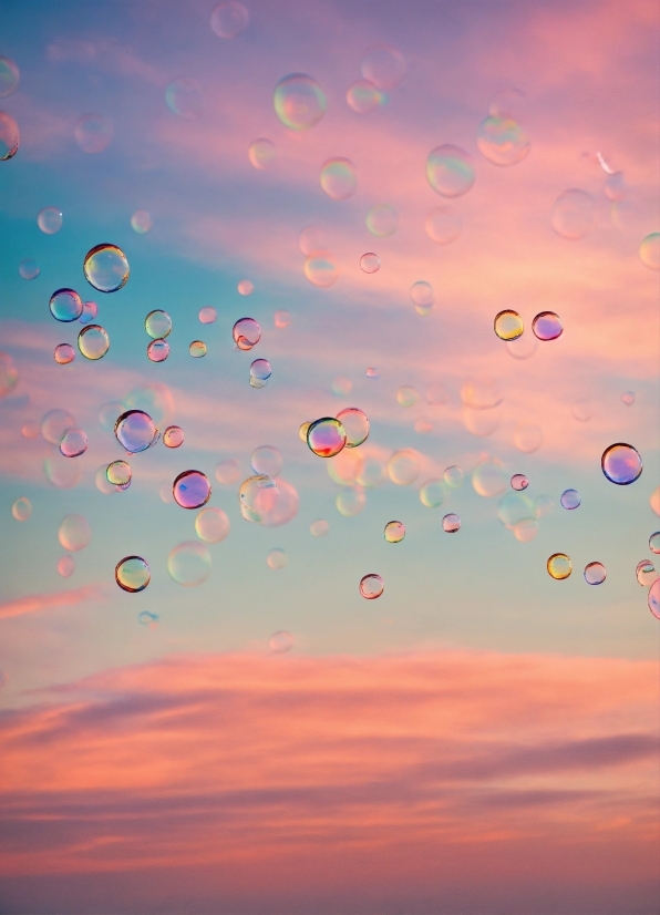 Social Media Stock Footage, Cloud, Sky, Atmosphere, Balloon, Tree