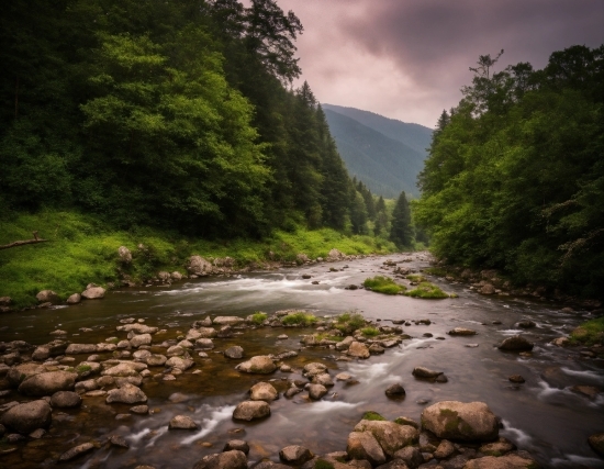 Stock Fireplace Video Free Download, Water, Cloud, Plant, Sky, Water Resources