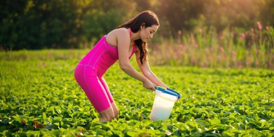 Stockfootageforfree, Plant, Arm, People In Nature, Flash Photography, Happy