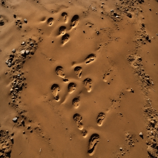 Storyboard Stock Footage, Brown, Liquid, Landscape, Aeolian Landform, Singing Sand