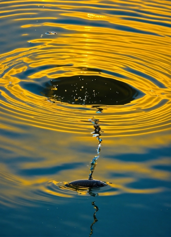 Tennis Stock Video, Water, Liquid, Nature, Fluid, Line