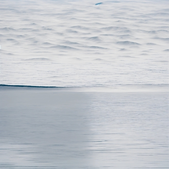 Toby Walsh, Water, Liquid, Fluid, Horizon, Lake