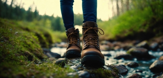 Tornado Stock Footage, Footwear, People In Nature, Plant, Sunlight, Wood