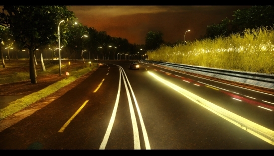 Tree Silhouette Png, Automotive Lighting, Nature, Road Surface, Asphalt, Tree