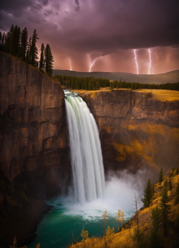 Video Download Wallpaper, Cloud, Water, Sky, Lightning, Plant