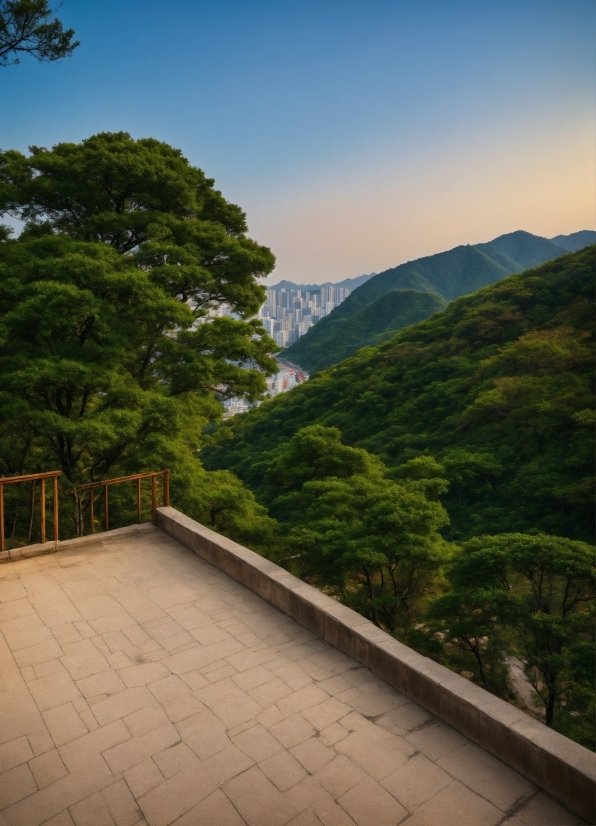 Water Drop Video Effect Download, Sky, Cloud, Mountain, Nature, Tree