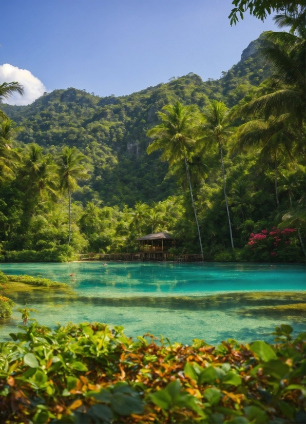 Water, Sky, Plant, Mountain, Green, Natural Landscape