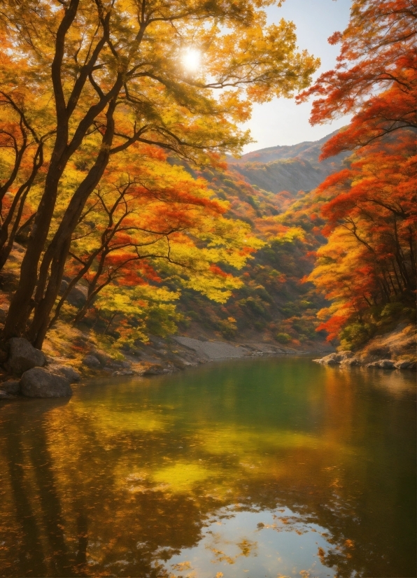 Water, Sky, Plant, Natural Environment, Natural Landscape, Branch