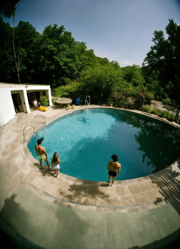 Water, Sky, Water Resources, Plant, Daytime, Swimming Pool