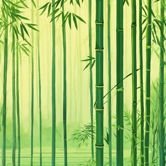 Welcome Motion Background Free, Plant, Bamboo, Green, Botany, Leaf