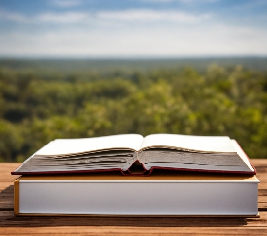 Adrian Shaughnessy, Book, Publication, Natural Landscape, Wood, Cloud