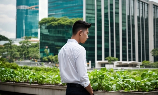 Cursed Images Funny, Plant, Building, Leaf, Dress Shirt, Sleeve