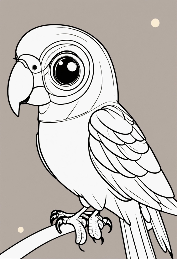 Davinci Resolve, Bird, Beak, Organism, Owl, Art