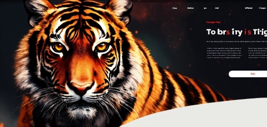 Free Clip Art Images Online, Bengal Tiger, Siberian Tiger, Tiger, Felidae, Carnivore