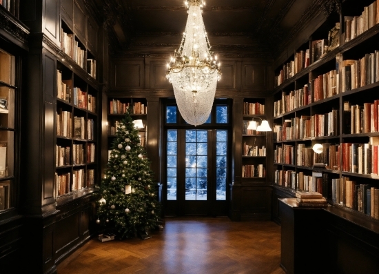 Graphic Editing App, Bookcase, Property, Christmas Tree, Shelf, Light