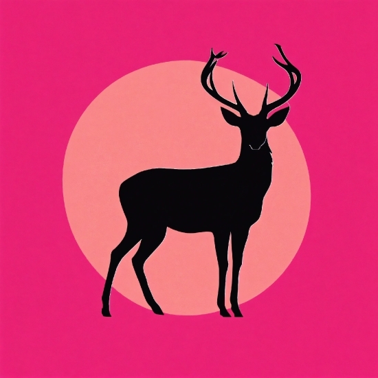 Online Video Mixing, Sleeve, Rectangle, Pink, Fawn, Deer