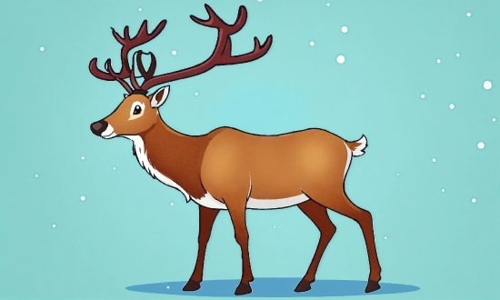 Photo Transition Video Maker Online, Vertebrate, Cartoon, Organism, Deer, Mammal