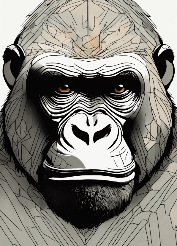 Picture Video Editor, Primate, Vertebrate, Mouth, Mammal, Art