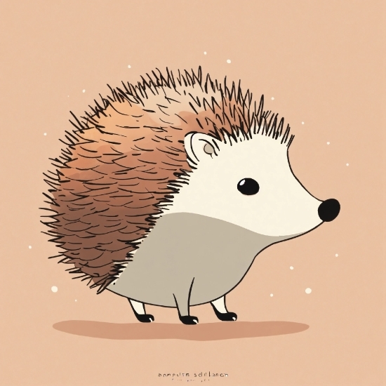 Snagit Editor, Head, Hedgehog, Domesticated Hedgehog, Erinaceidae, Rodent