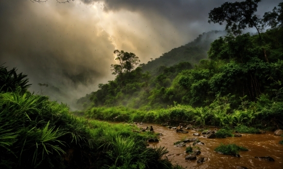 Advanced Analytics Ai, Cloud, Plant, Sky, Natural Landscape, Mountain