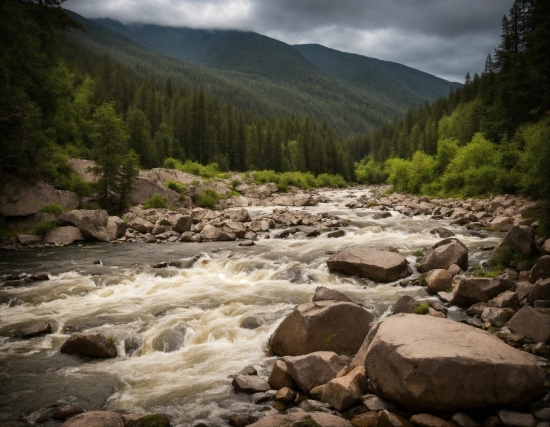 Ai Vectorize Image, Water, Plant, Cloud, Sky, Mountain