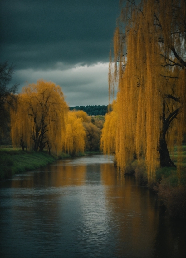 Application Of Graph Theory In Artificial Intelligence, Water, Cloud, Sky, Plant, Natural Landscape