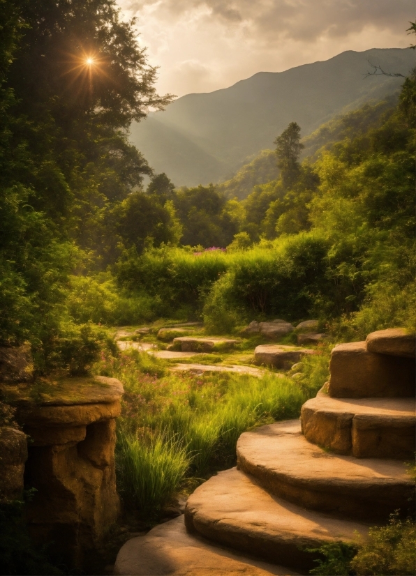 Cloud, Plant, Sky, Mountain, Water Resources, Ecoregion