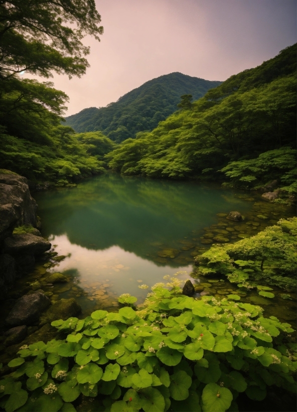 Dall E Mini Free, Water, Water Resources, Mountain, Plant, Sky