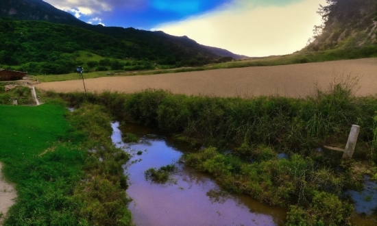 Dalle Mini Image Generator, Cloud, Water, Plant, Sky, Ecoregion