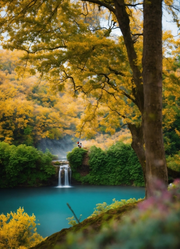 Dreambooth Google Ai, Water, Plant, Sky, Natural Landscape, Yellow