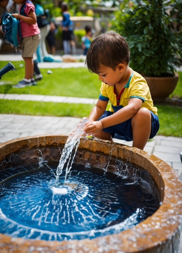 Google Photo Ai, Water, Photograph, Plant, Green, Shorts