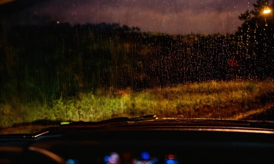 Meta Ai Blog, Automotive Lighting, Hood, Window, Leaf, Sky