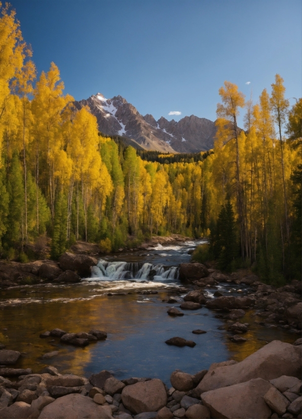 Midjourney Import Image, Water, Sky, Mountain, Plant, Ecoregion