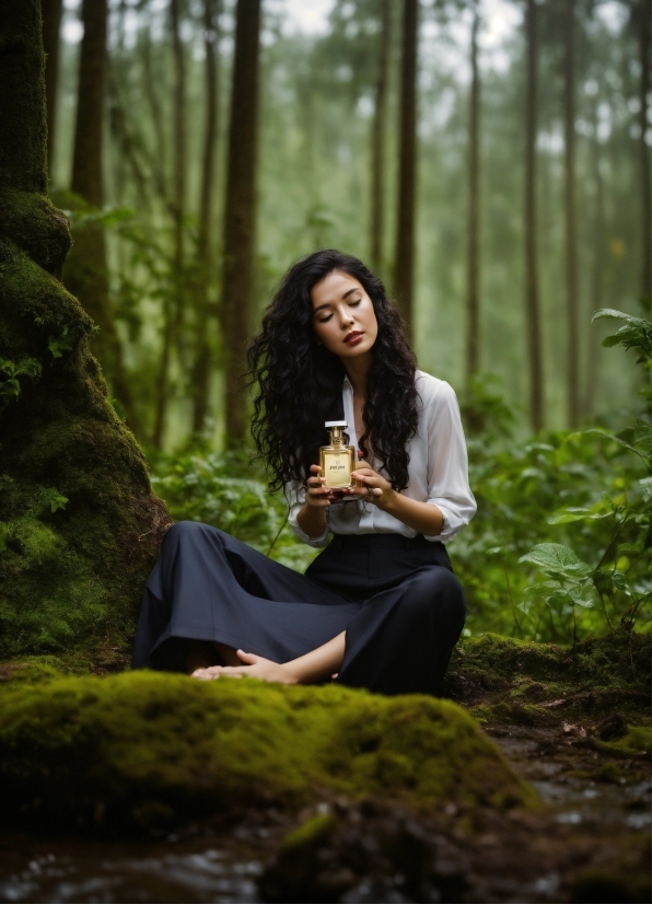 Plant, People In Nature, Wood, Branch, Flash Photography, Tree