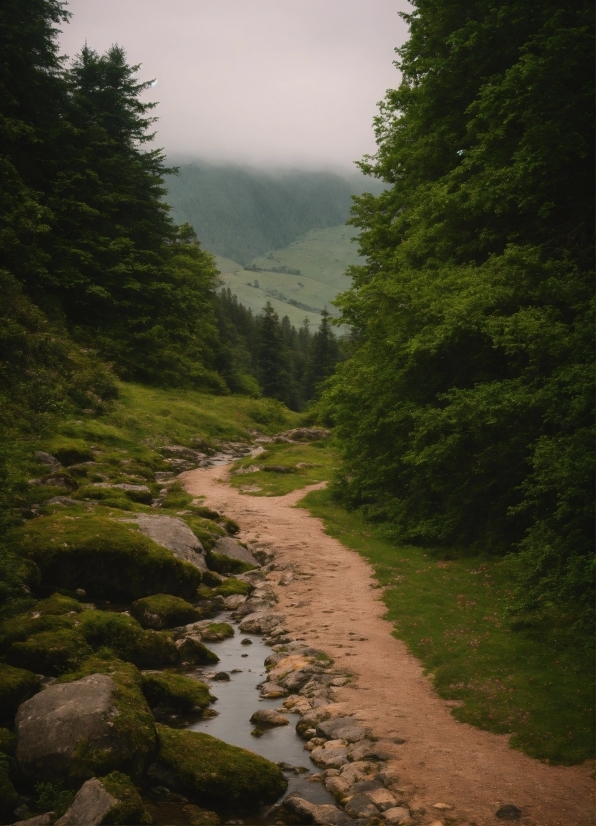 Pytorch Mobile, Water, Sky, Plant, Mountain, Ecoregion