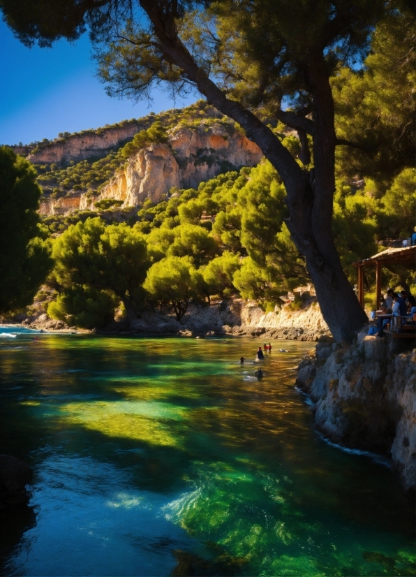 Water, Sky, Green, Tree, Leaf, Natural Landscape