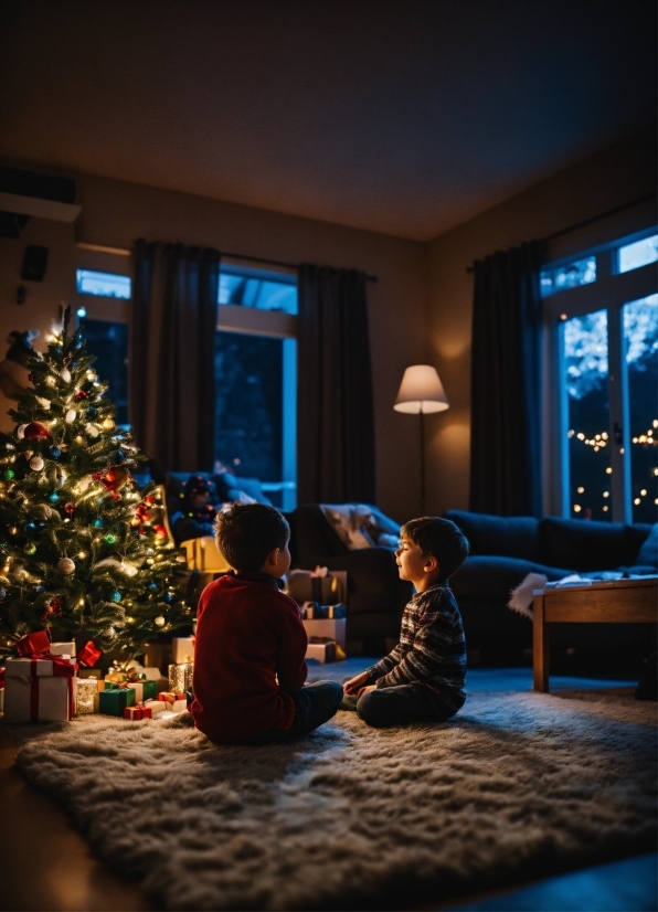 Aesthetic Illustration, Christmas Tree, Window, Blue, Lighting, Plant