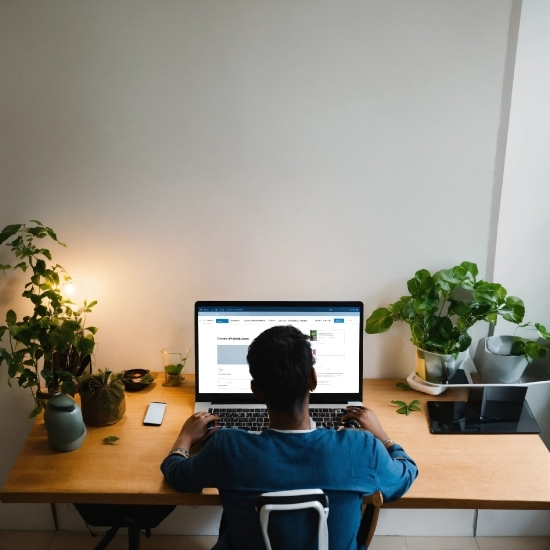 Angry Guy Stock Photo, Plant, Table, Computer, Personal Computer, Furniture