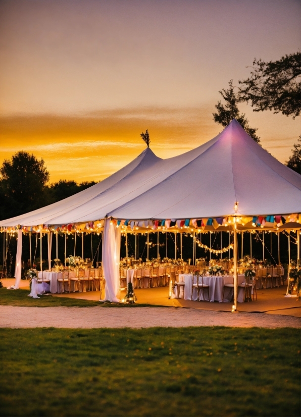 Campbell Soup Poster, Sky, Cloud, Tent, Plant, Shade