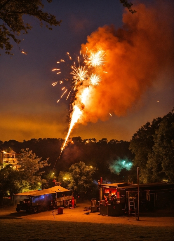 Canva Icons, Atmosphere, Sky, Fireworks, Light, Tree