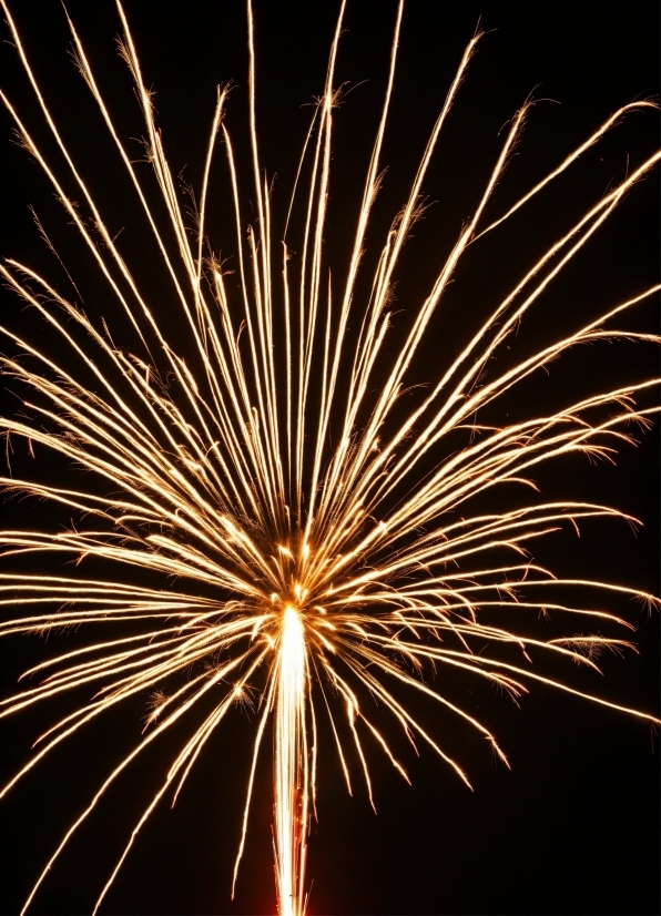 Canva Windows, Fireworks, Celebrating, Sky, Line, Recreation