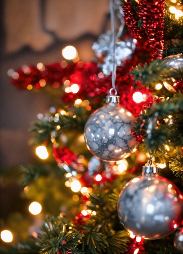 Christmas Tree, Christmas Ornament, Light, Branch, Holiday Ornament, Plant