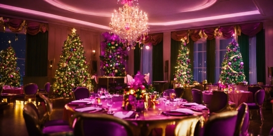 Decoration, Furniture, Plant, Purple, Light, Christmas Tree