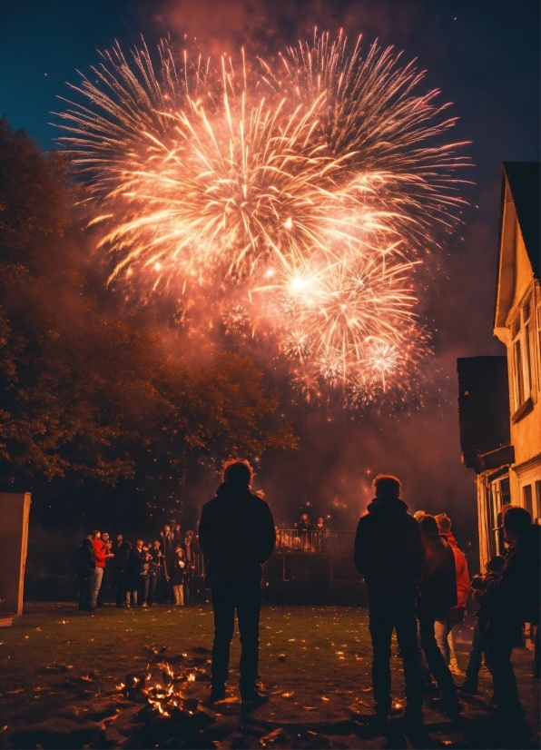 Edit Height And Width Of Image, Fireworks, Photograph, Sky, Light, World